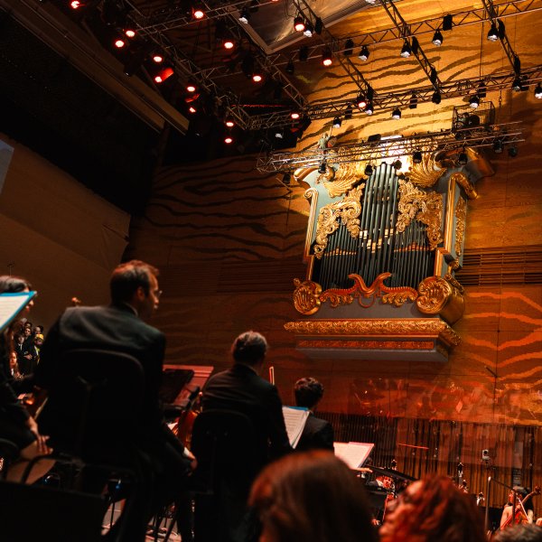 Concerto Promenade Queima das Fitas do Porto 2026 â€” 145