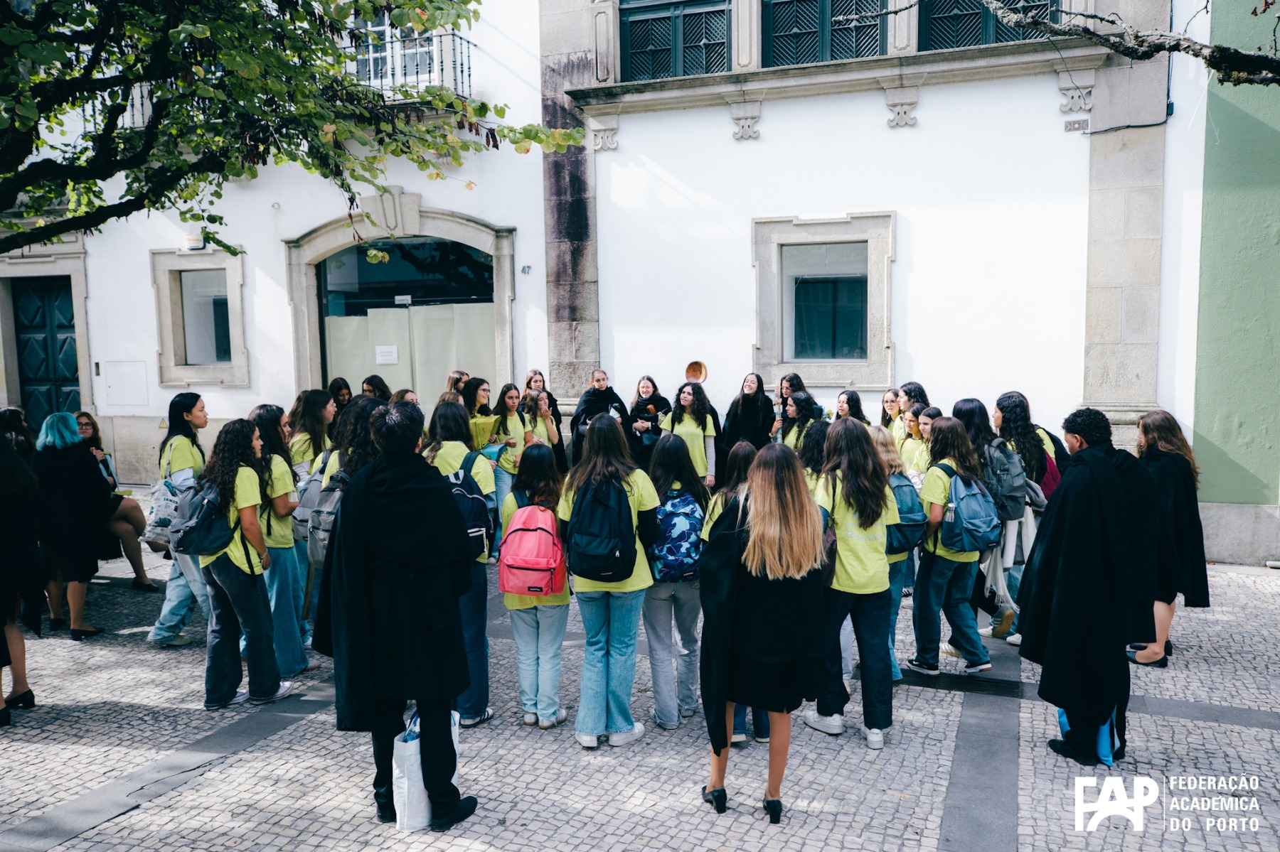 Comboio do Caloiro â€” 217