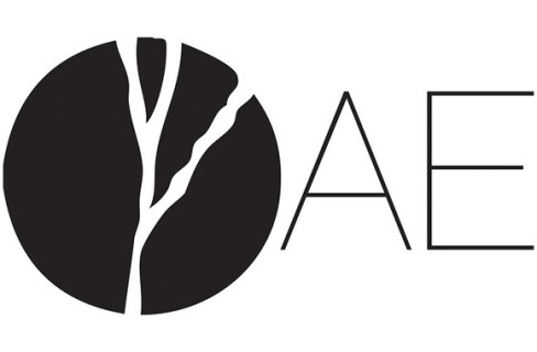 Associação de Estudantes da Faculdade de Belas Artes da Universidade do Porto